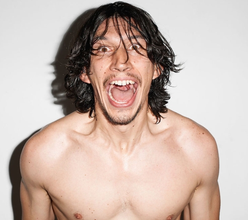 adam driver