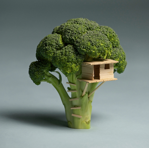 house of broccoli