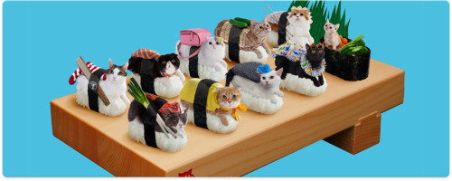sushi cats