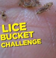 lice bucket